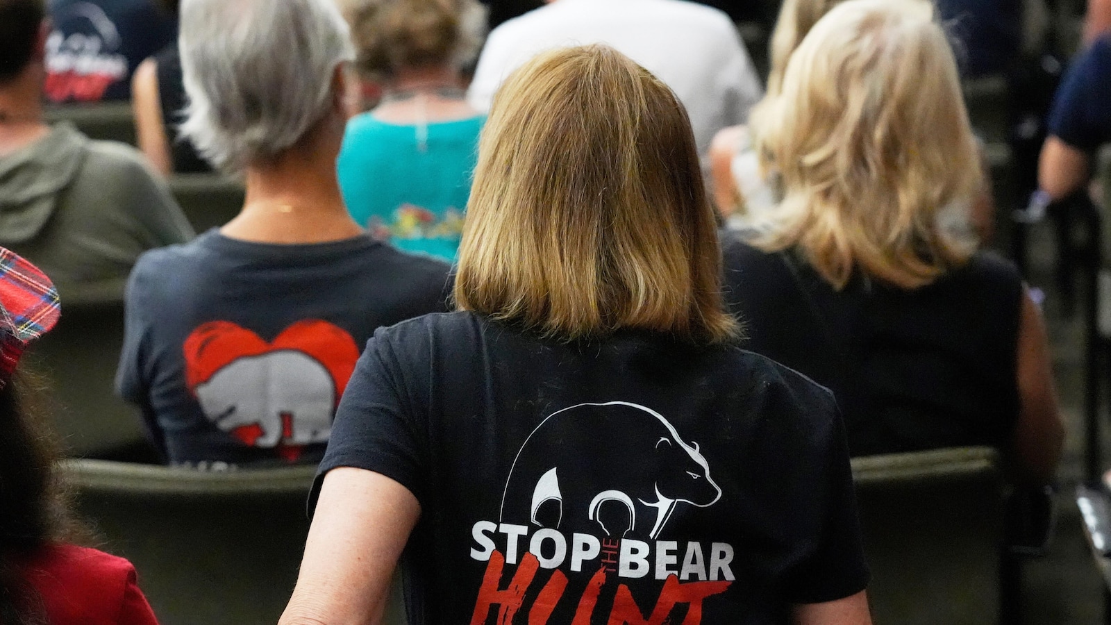 More than 160,000 apply for Florida's first bear hunt in a decade, official says