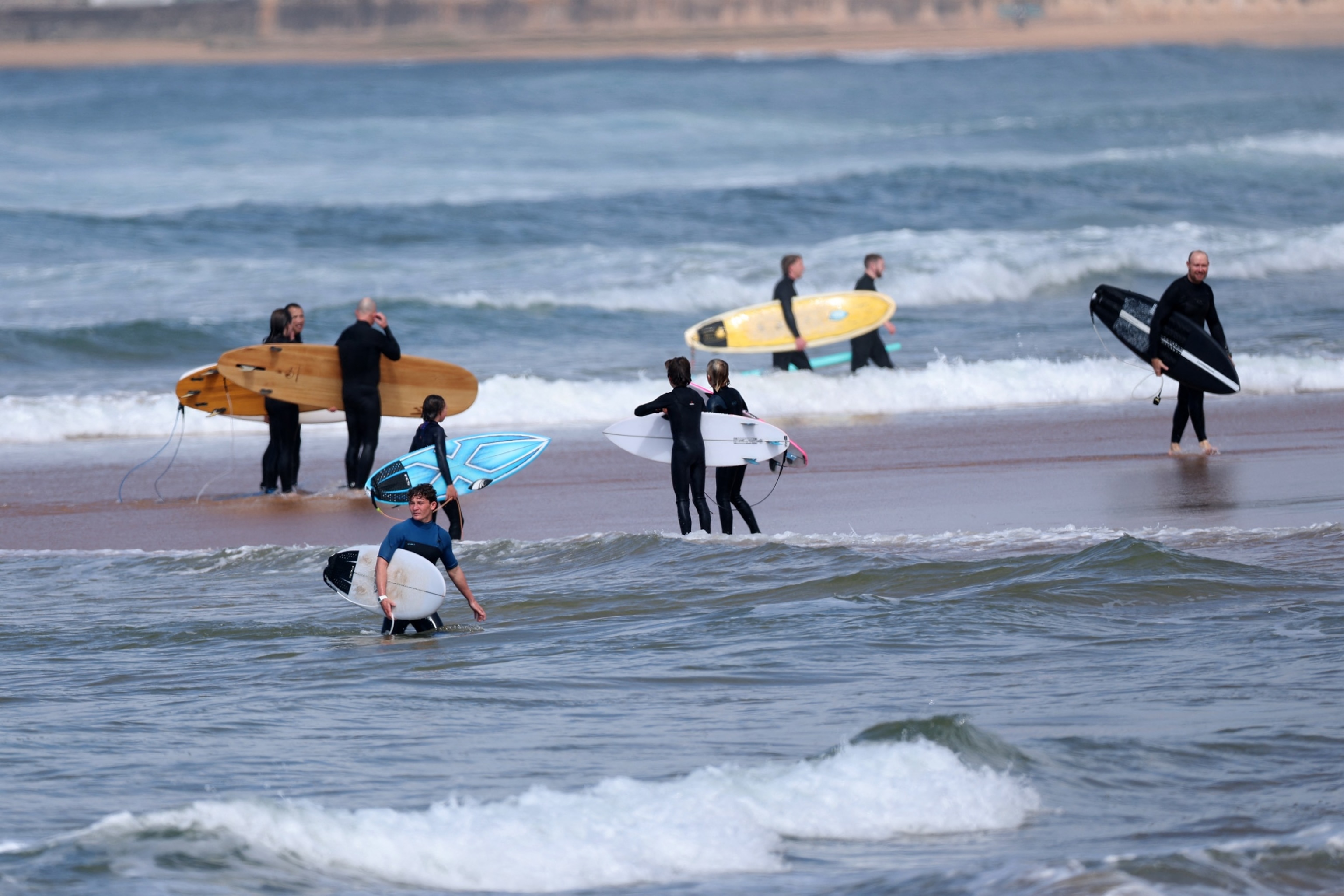 PHOTO: AUSTRALIA-SHARK