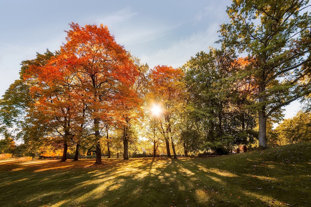 PHOTO: Stock photo of an Autumn morning