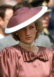 Princess Diana Outfits Online Www pennygilley