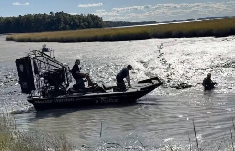 Maine hunter rescued after getting stuck in ‘quicksand’-like mud up to ...