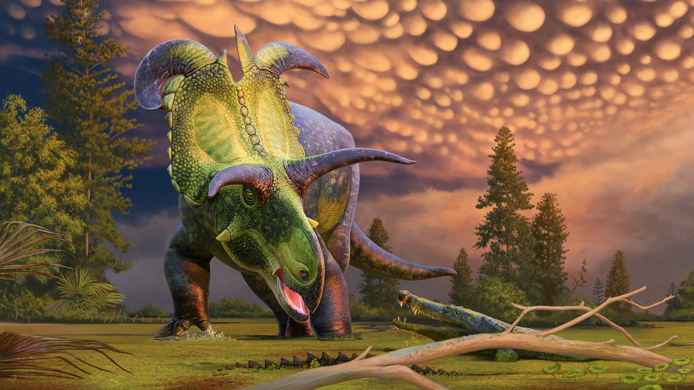 New Horned Dinosaur Species Discovered largest And Most Ornate Of Its New Horned Dinosaur Species Discovered largest And Most Ornate Of Its