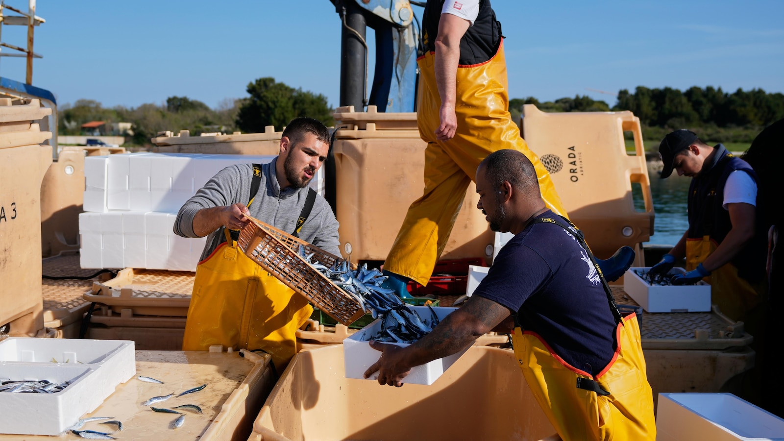 يشعر الصيادون الكرواتيون بالضغط بعد ارتفاع أسعار الوقود بعد حرب إيران