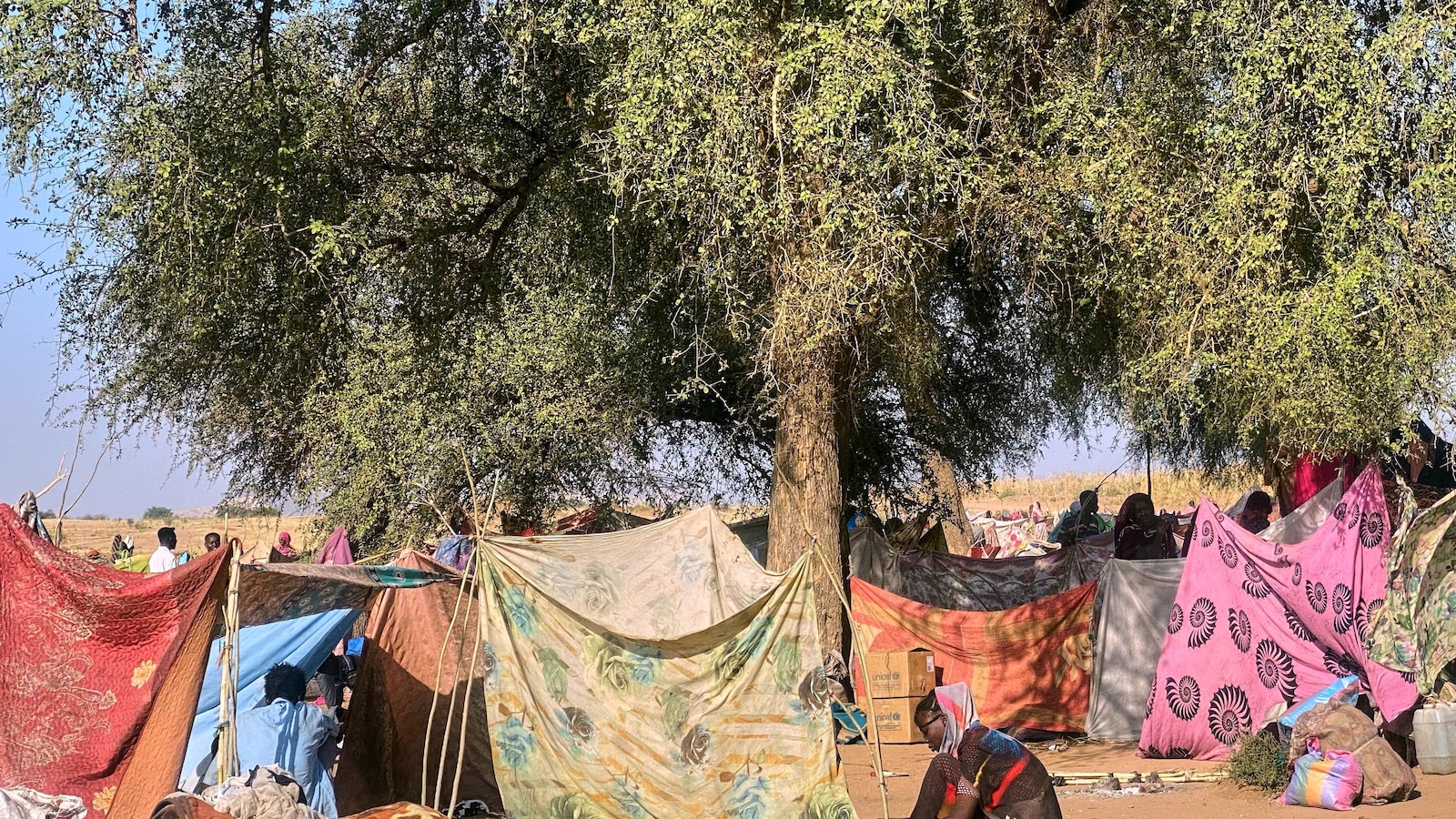 Sudan relief operations are 'on the brink of collapse,' UN migration agency warns