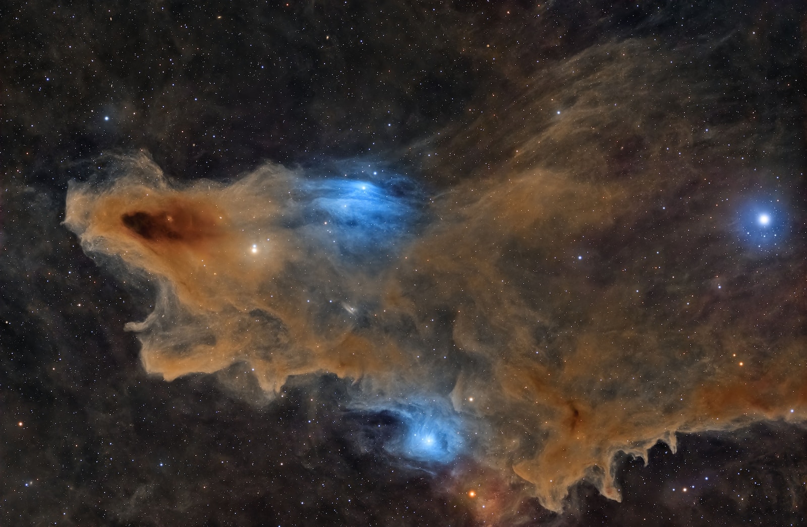ZWO Astronomy Photographer of the Year 2026 Winners Announced