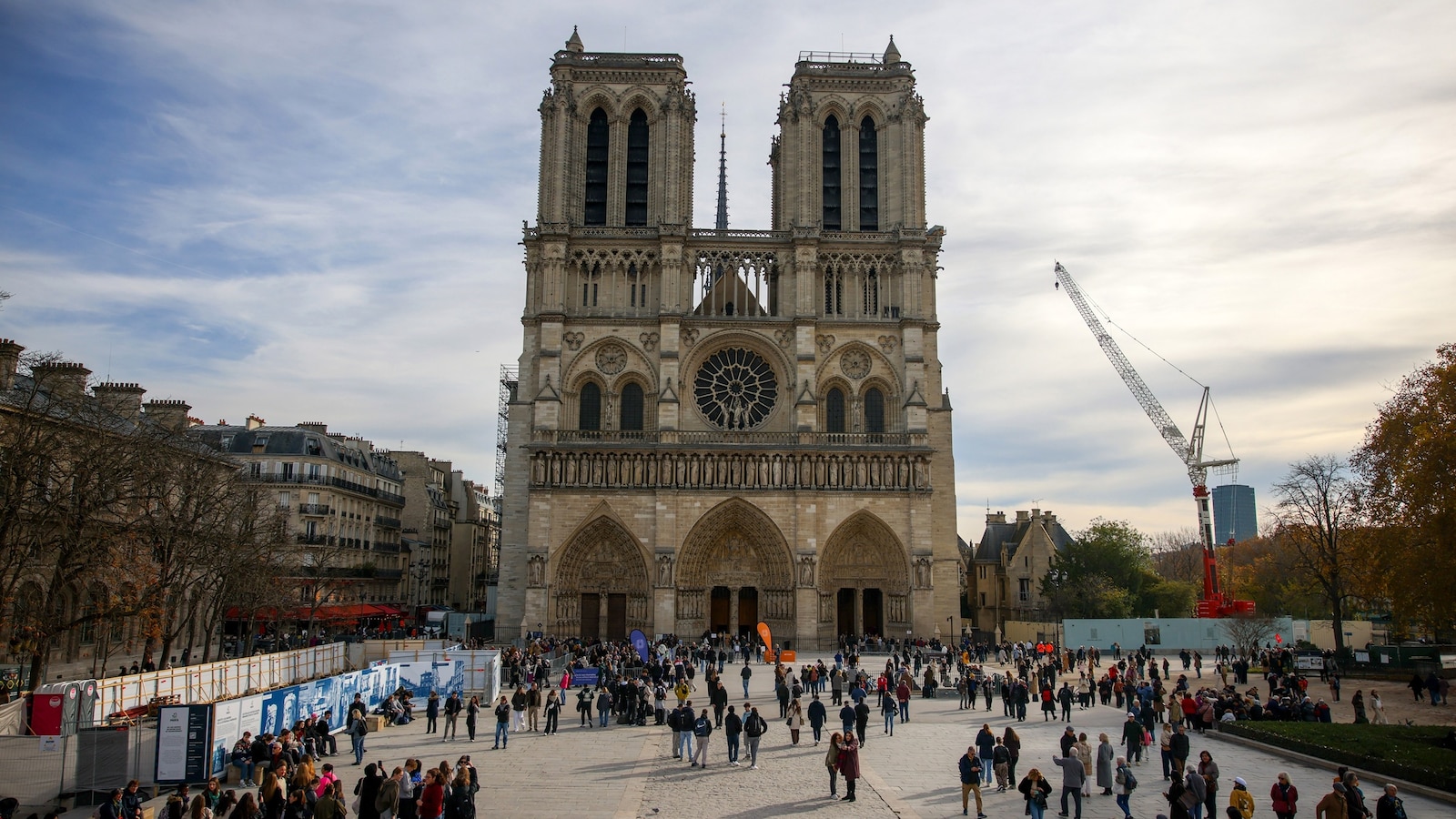 Notre-Dame Cathedral gets ready for Christmas 1 year after reopening
