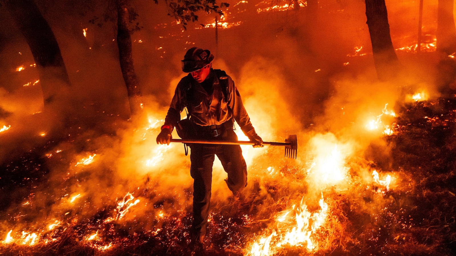 Wildfires used to 'go to sleep' at night. Climate change has them burning overtime