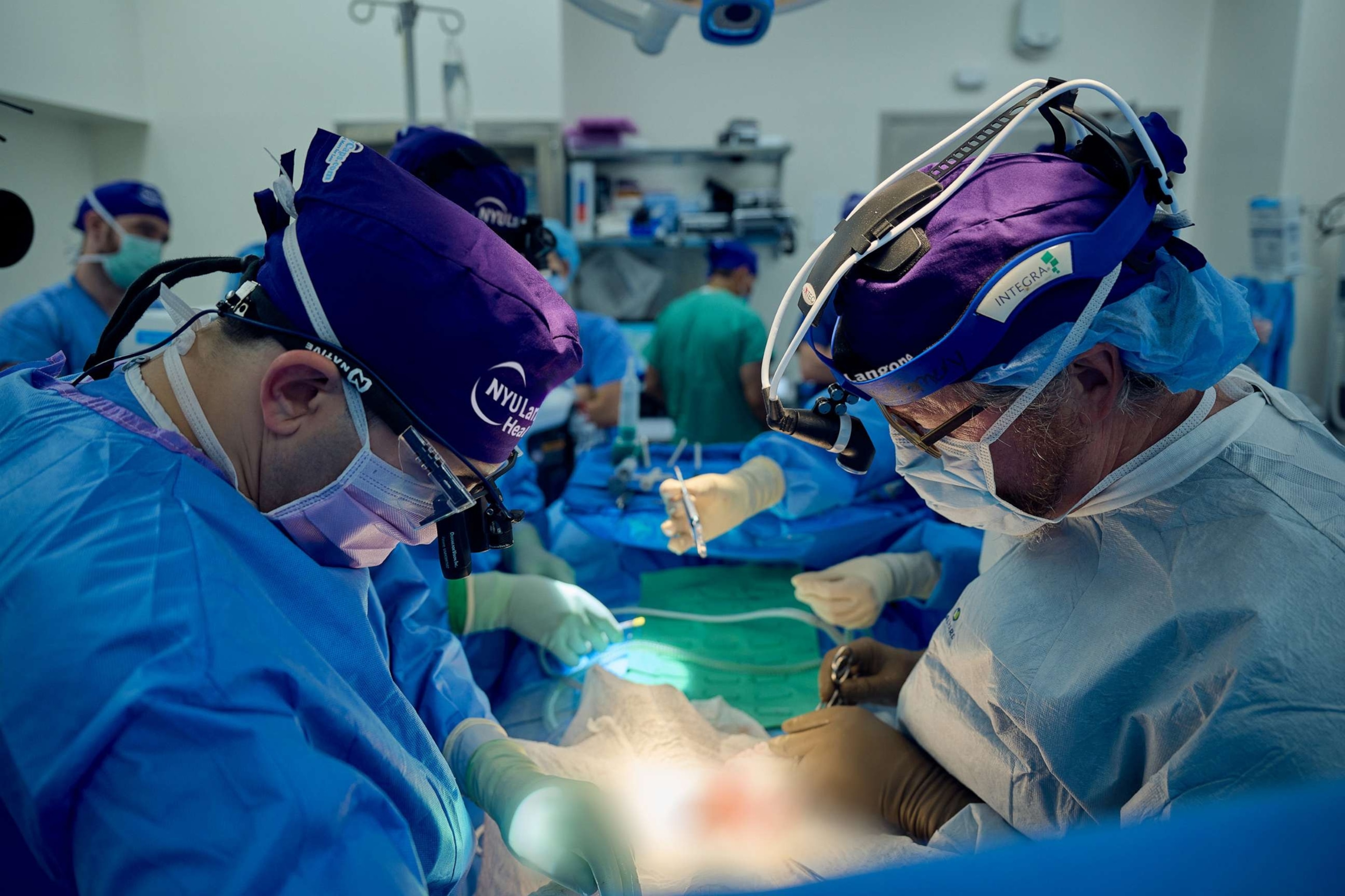 PHOTO: Dr. Jeffrey Stern, left, and Dr. Robert Montgomery prepare to implant a genetically engineered pig kidney into the recipient's abdomen.