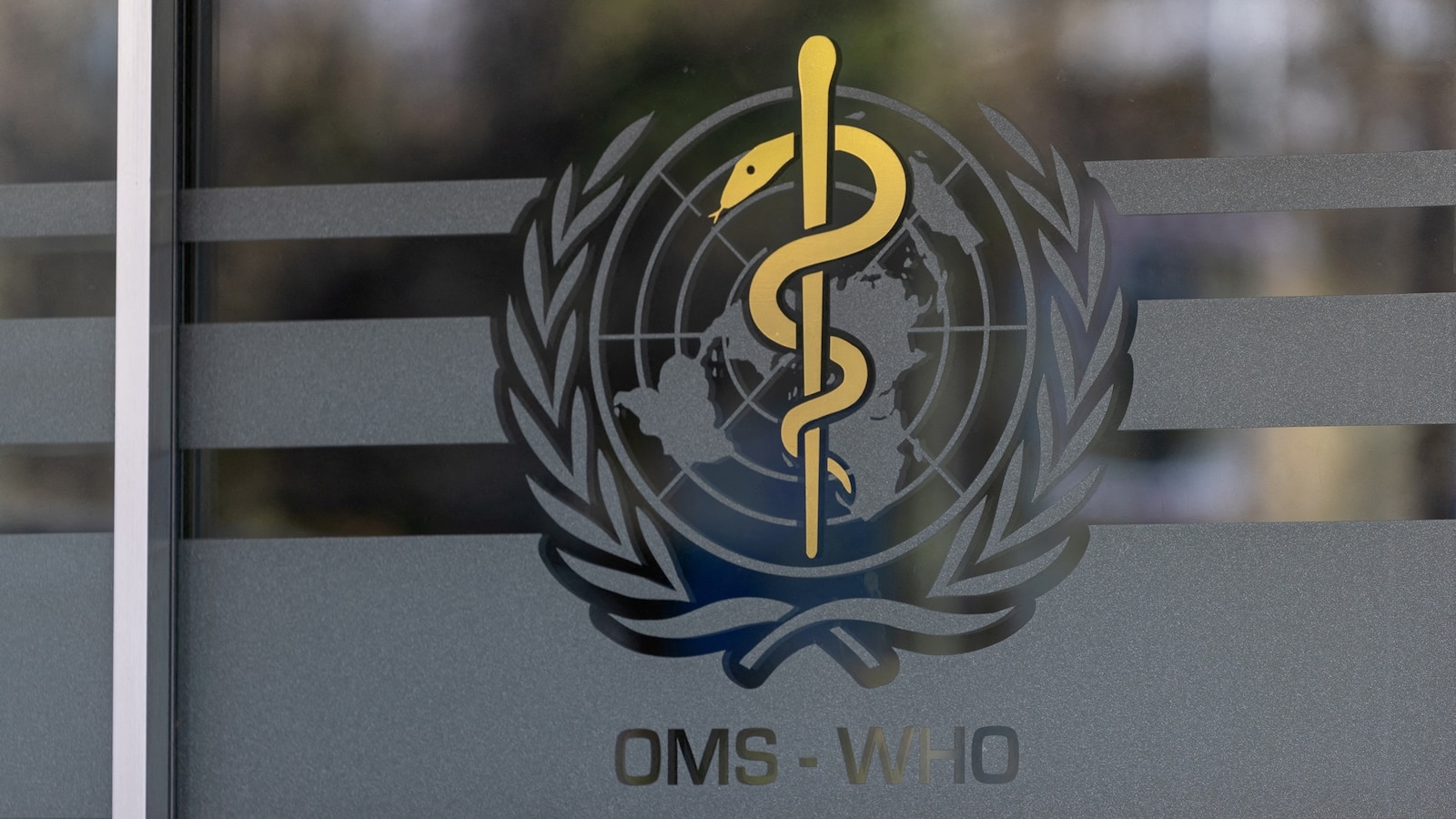 The World Health Organization said on Wednesday it does not currently have enough information from Russian authorities to conduct a full risk assessment after the death of a plague laboratory worker in Siberia.