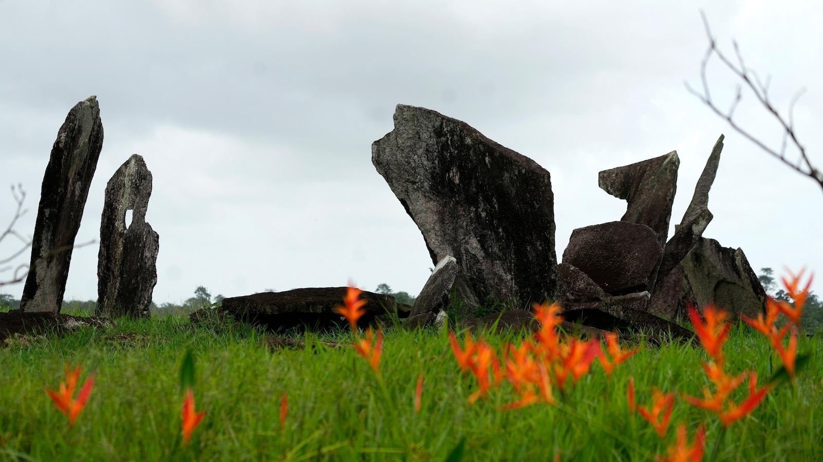 Archaeological digs in Amazon provide clues about Indigenous inhabitants before colonization