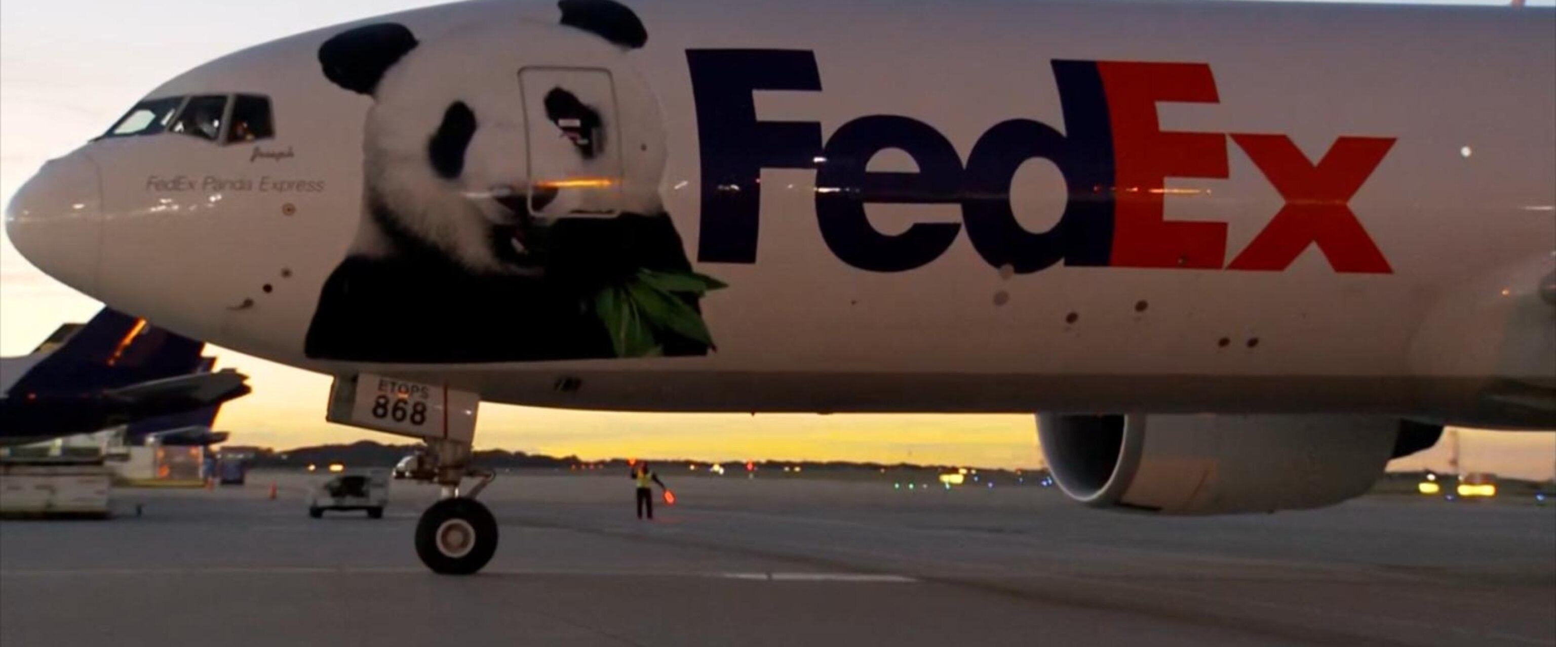 Video The complicated mission to send 2 panda bears from China to