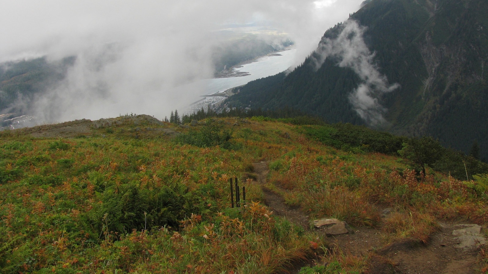 A Texas man on a cruise to Alaska is dead after falling from a trail during a hike, authorities say