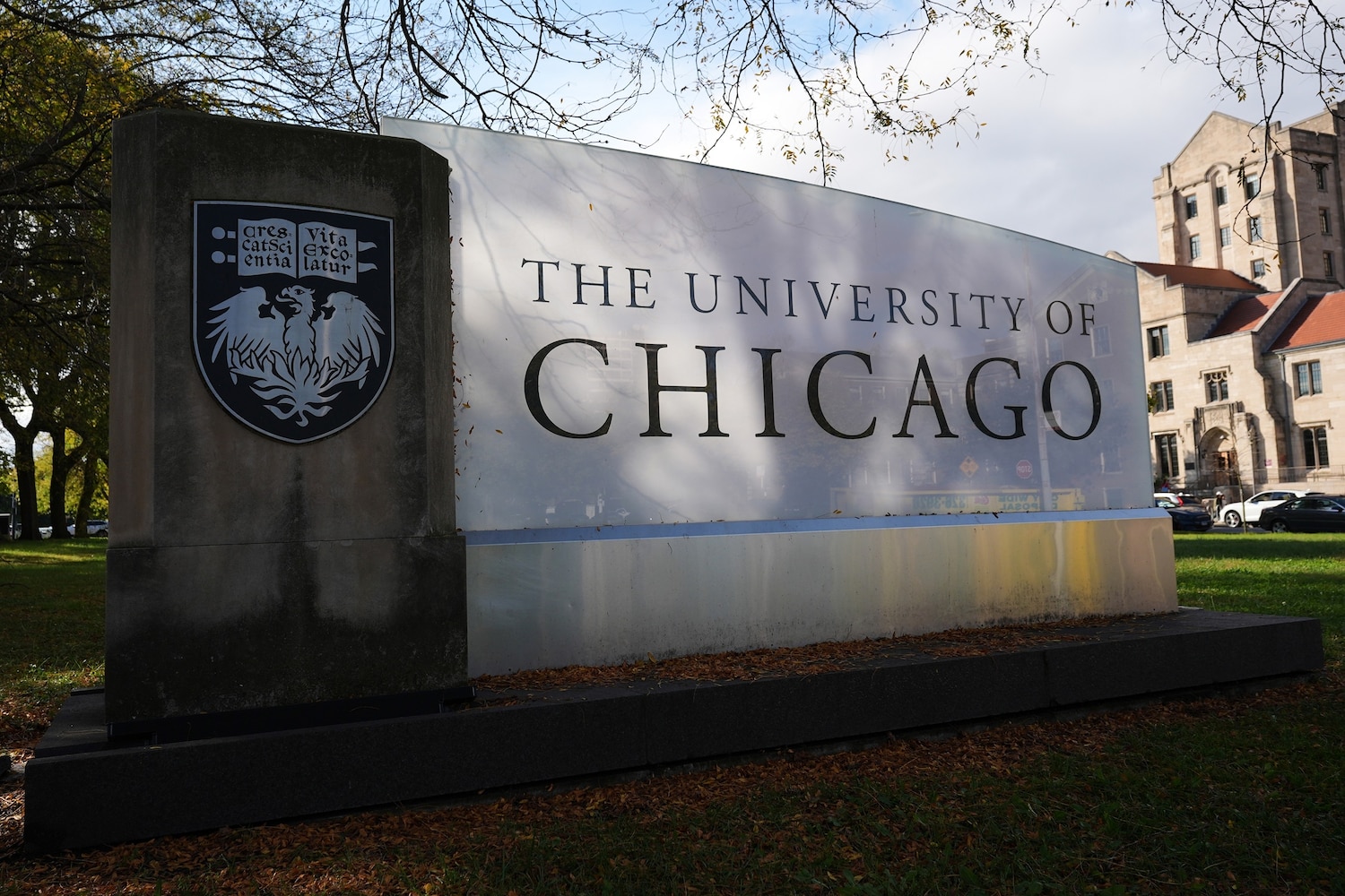 The alleged assault unfolds