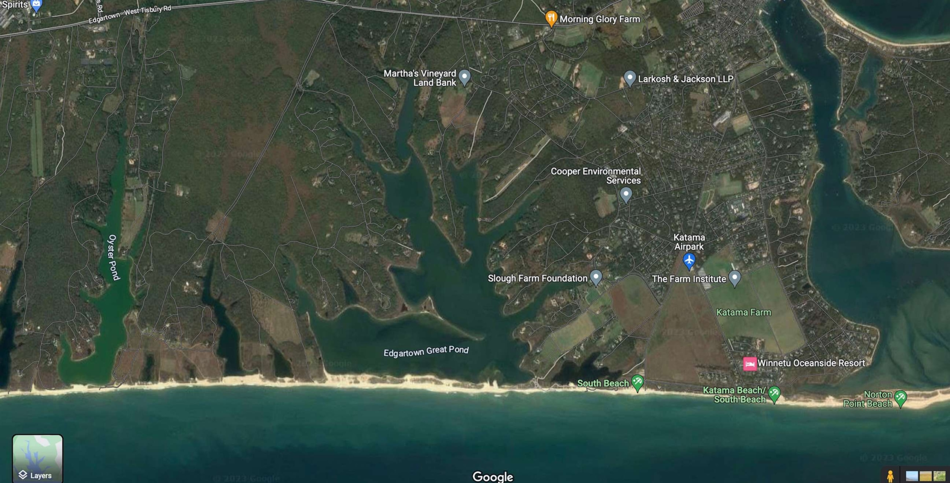 PHOTO: Edgartown Great Pond in Martha's Vineyard is pictured in this google satellite image.