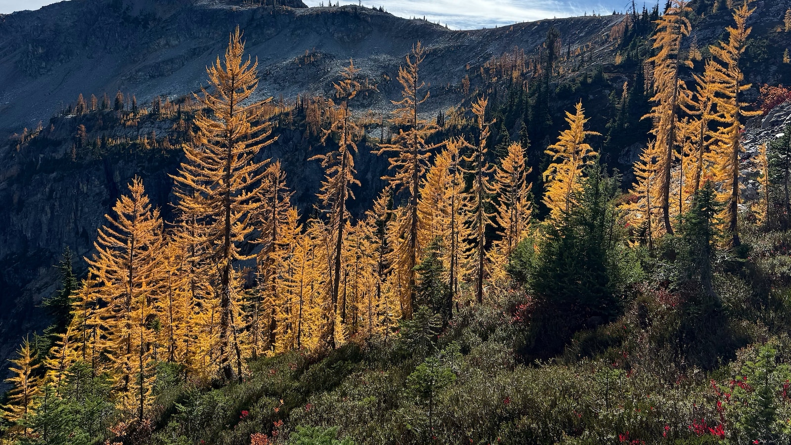  Agriculture secretary says agency is &ldquo;full-bore ahead&rdquo; on Forest Service reorganization