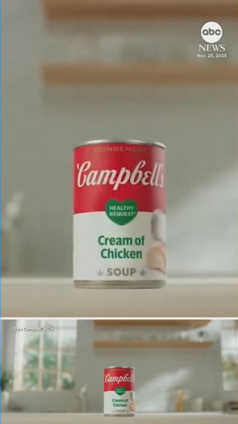 WATCH: Campbell's defends soup after alleged rant by executive
