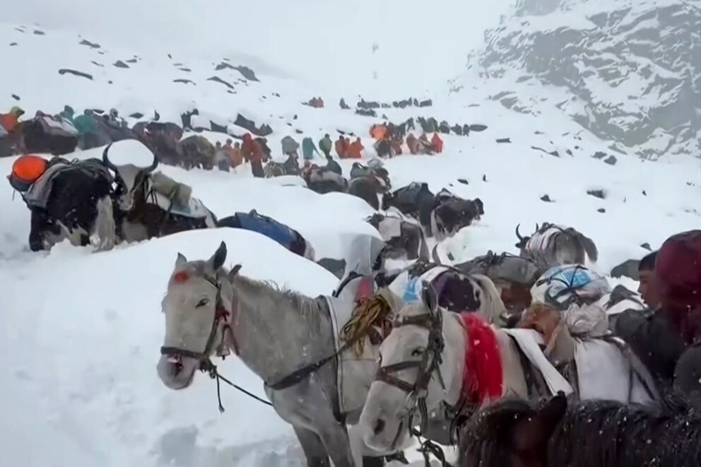 PHOTO: In this photo taken Oct. 4, 2025 and released by Lingsuiye, villagers with their oxen and horses ascend the mountain during rescue efforts to reach hundreds of hikers trapped on a slope of Mount Everest in Tibet on Sunday, Oct. 5, 2025. 