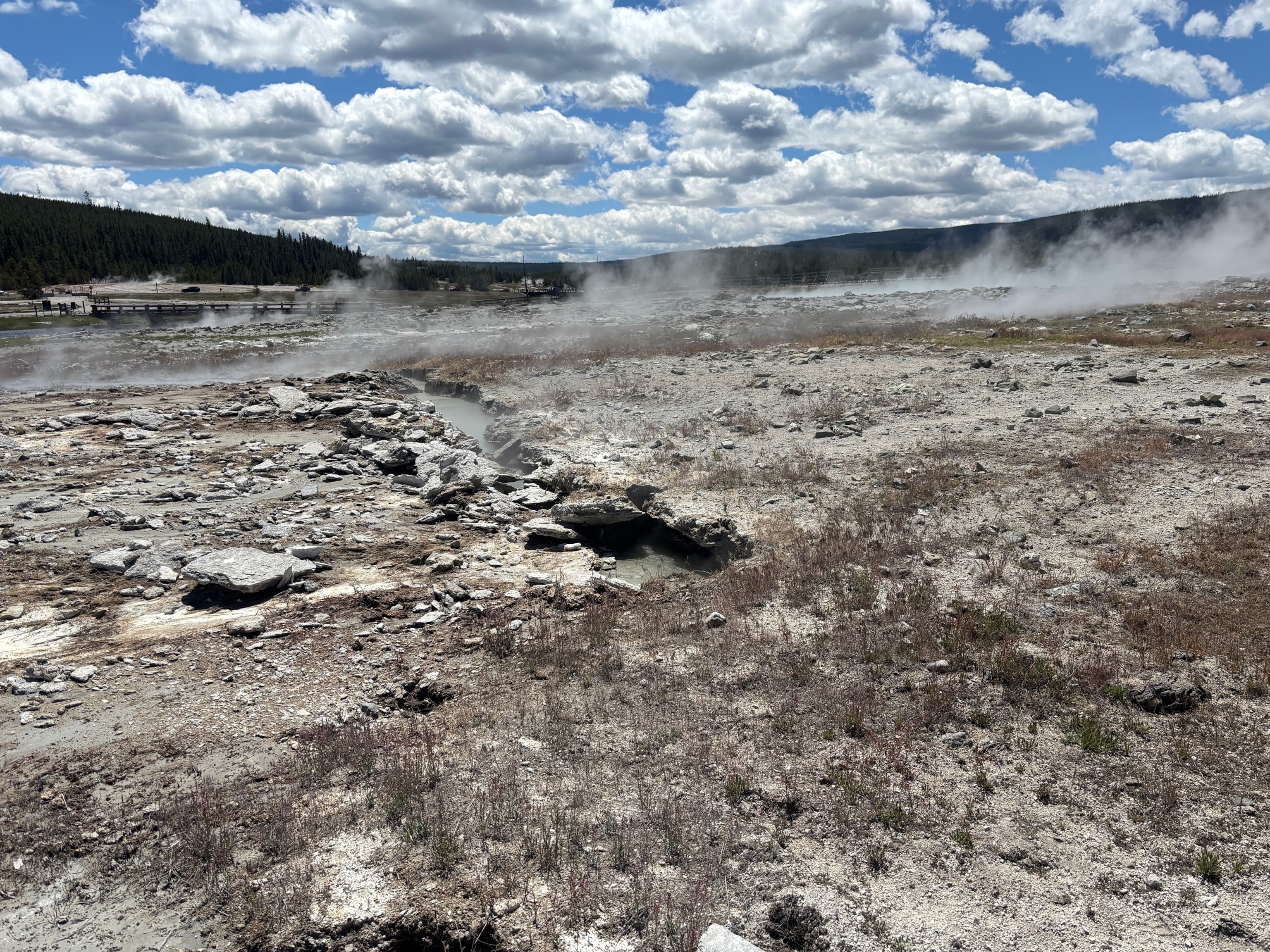 PHOTO: Looking south, toward Black Diamond Pool (steaming blue area in the left middle ground) along a fissure that formed during a small hydrothermal explosion on June 13, 2026, in Biscuit Basin, Yellowstone National Park.