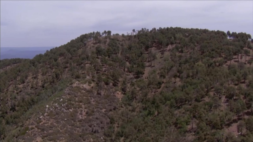 Video 2 Arizona teens found dead in remote area, officials ...