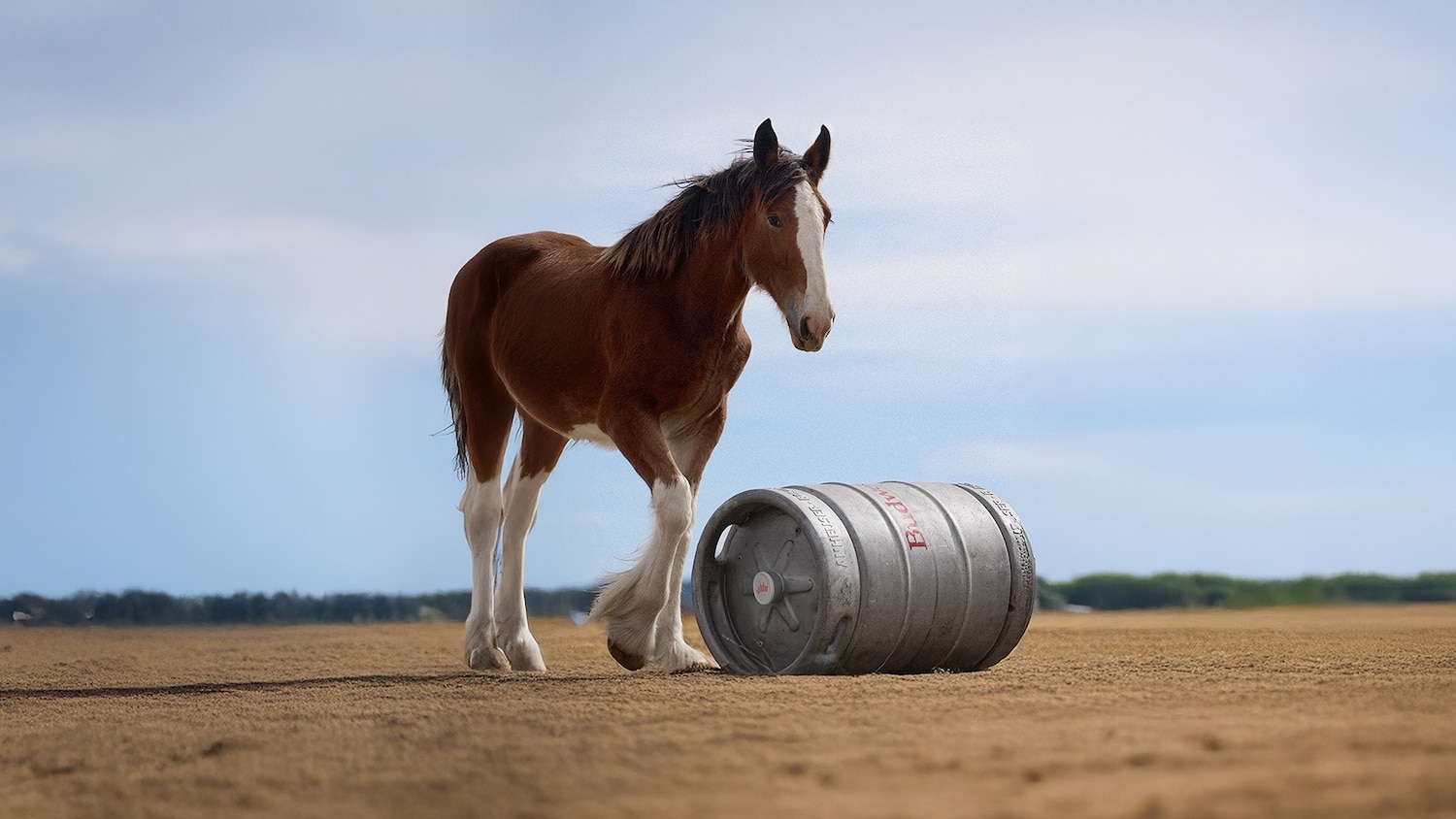 Watch the exclusive Budweiser Super Bowl ad, starring a strong ...