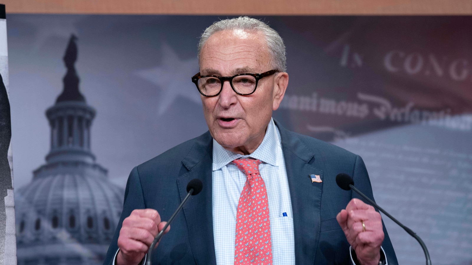 As Democrats prepare for a possible federal shutdown, their endgame is uncertain