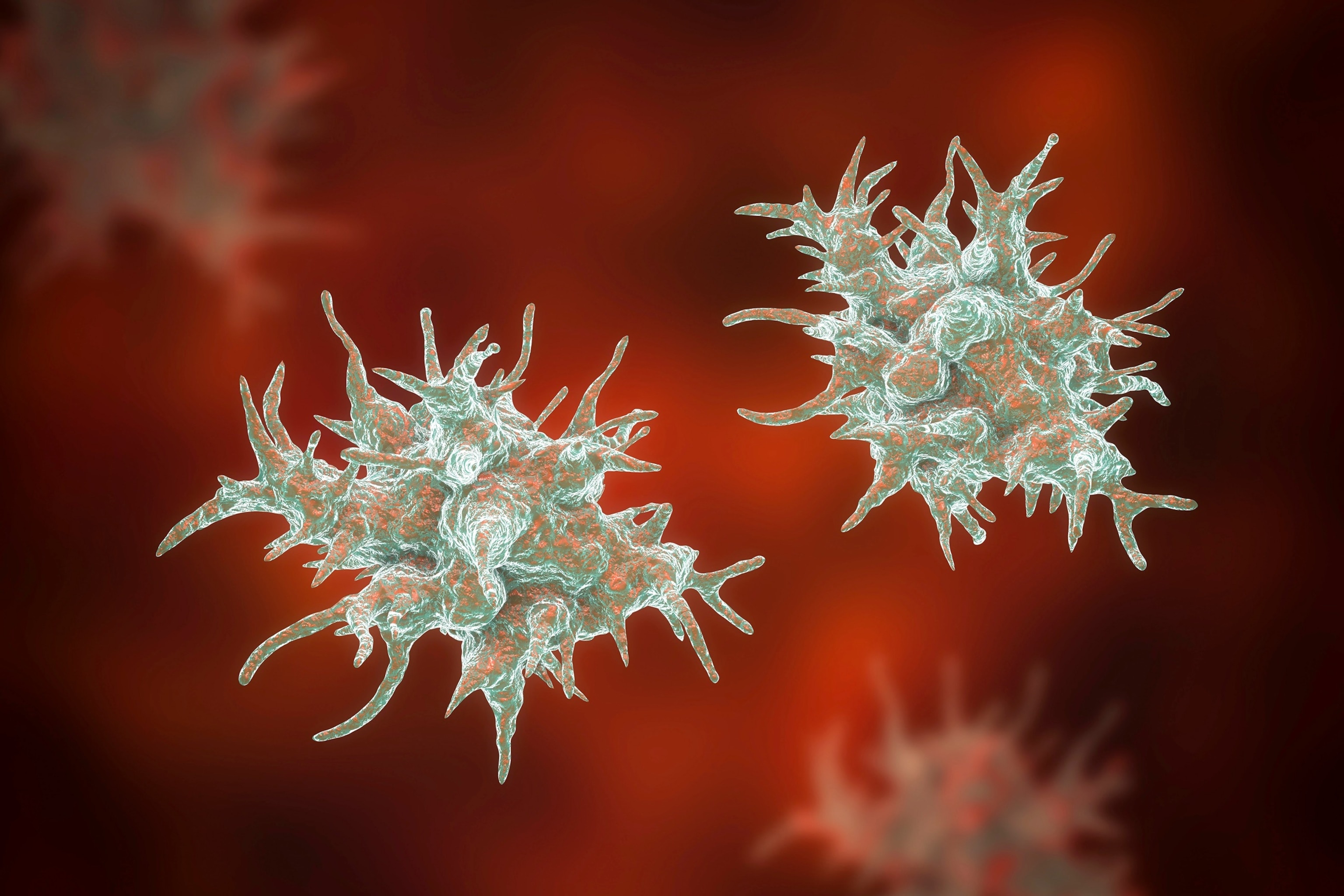 PHOTO: Acanthamoeba amoeba, illustration