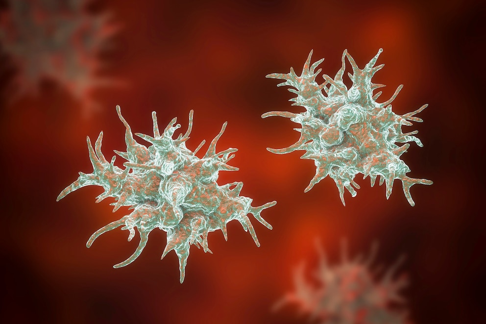 PHOTO: Acanthamoeba amoeba, illustration