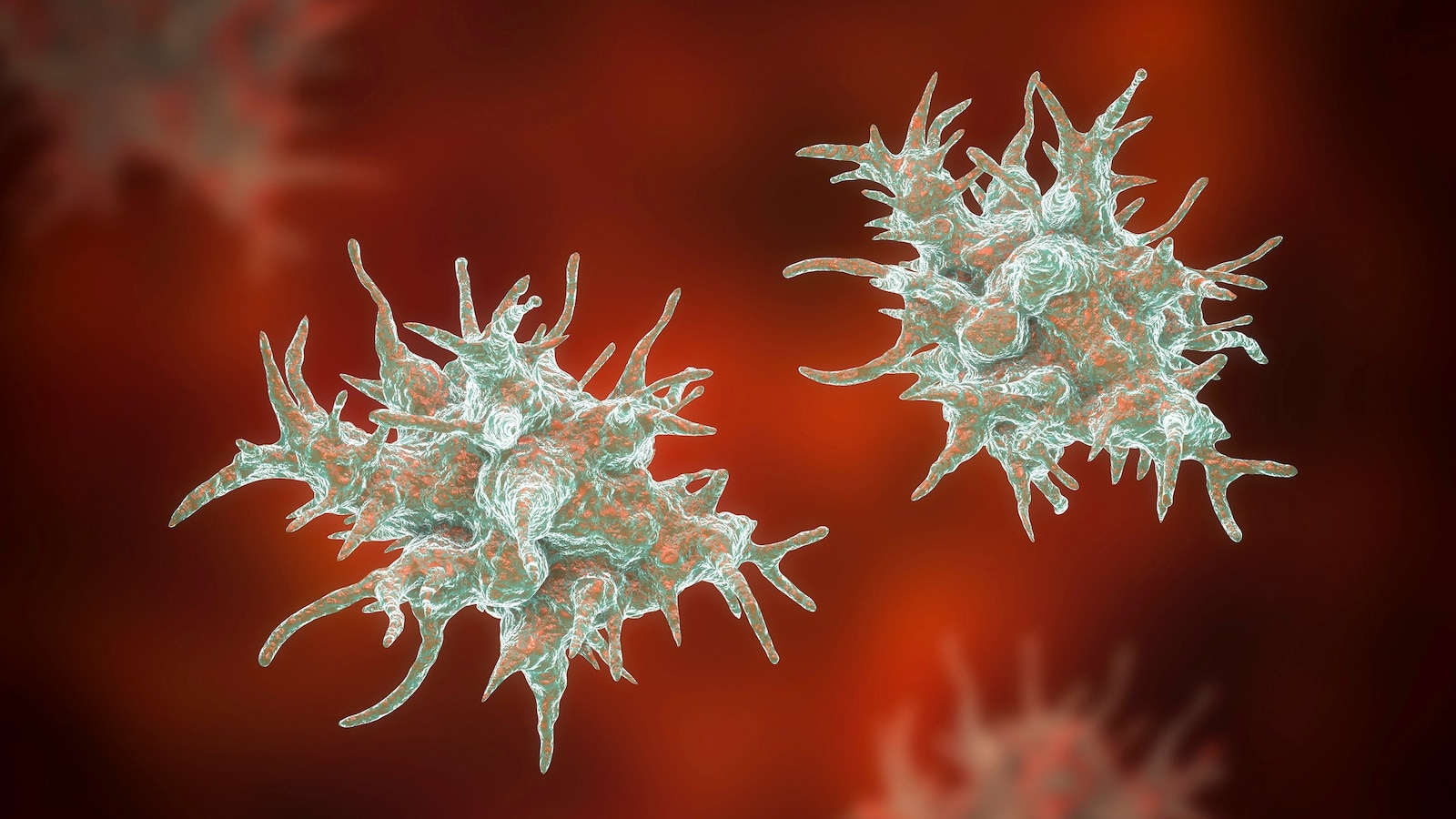 Louisiana Health Department Issues Alert on Amoeba Risks From Tap Water