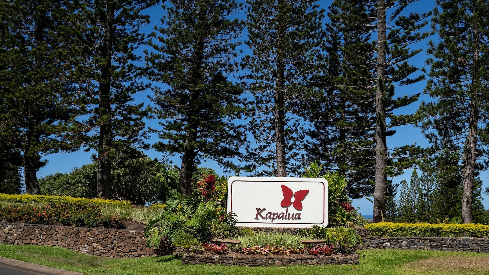 Kapalua won’t host PGA Tour’s season opener as it copes with drought and Hawaii water dispute