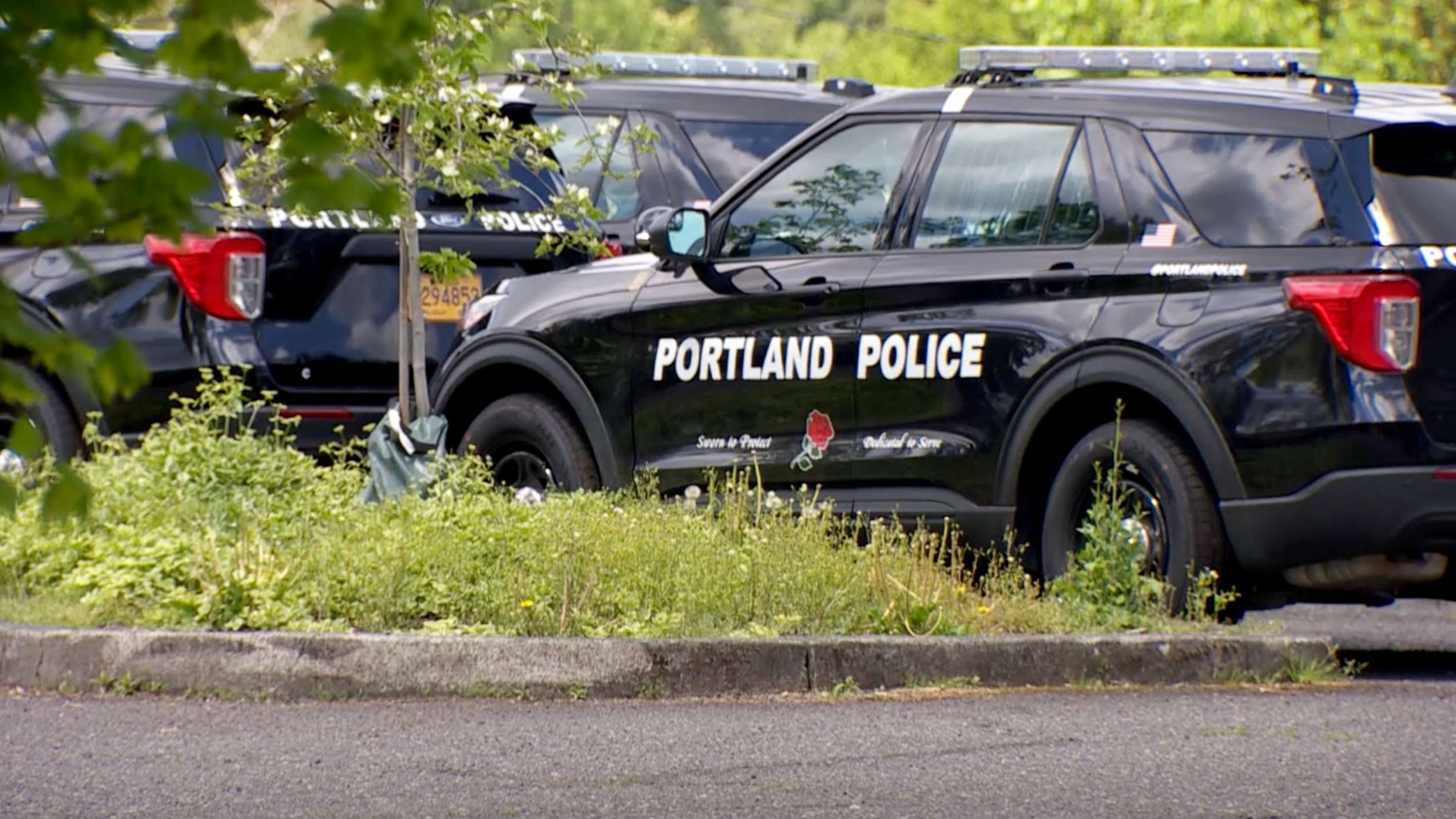 Eugene police respond to six overdose deaths in three days, News