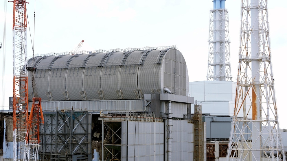 Tsunami fukushima 2025