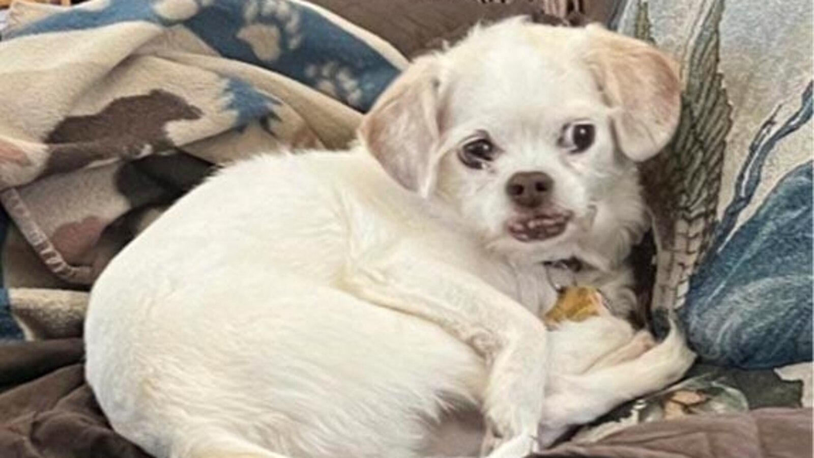  Authorities search for missing California couple last seen leaving home on nudist ranch