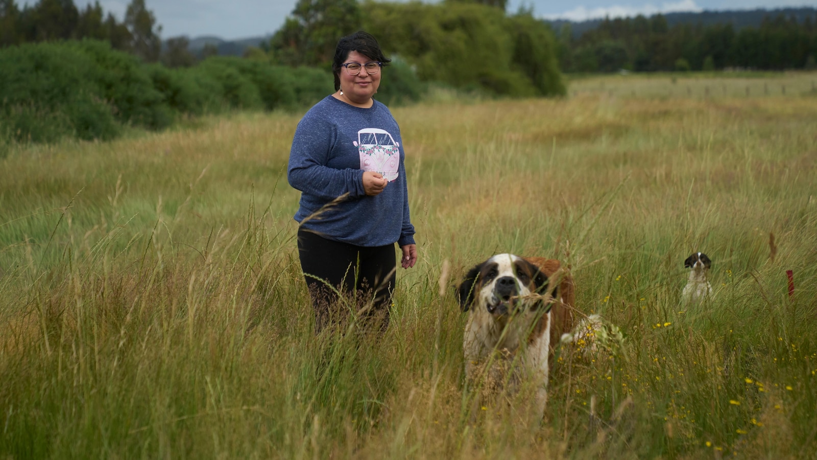 بعد قرون من الصراع، يخشى سكان مابوتشي الأصليين في تشيلي من التحول السياسي إلى اليمين المتطرف