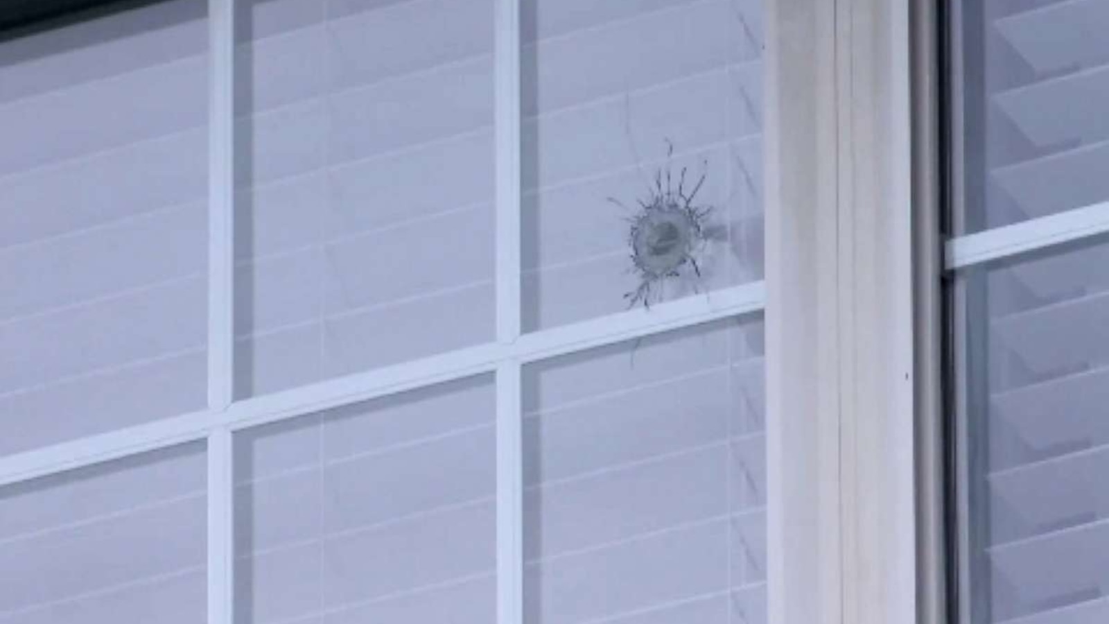 Arrests made in New Year's Day shootout where nearly 600 rounds were fired Police ABC News