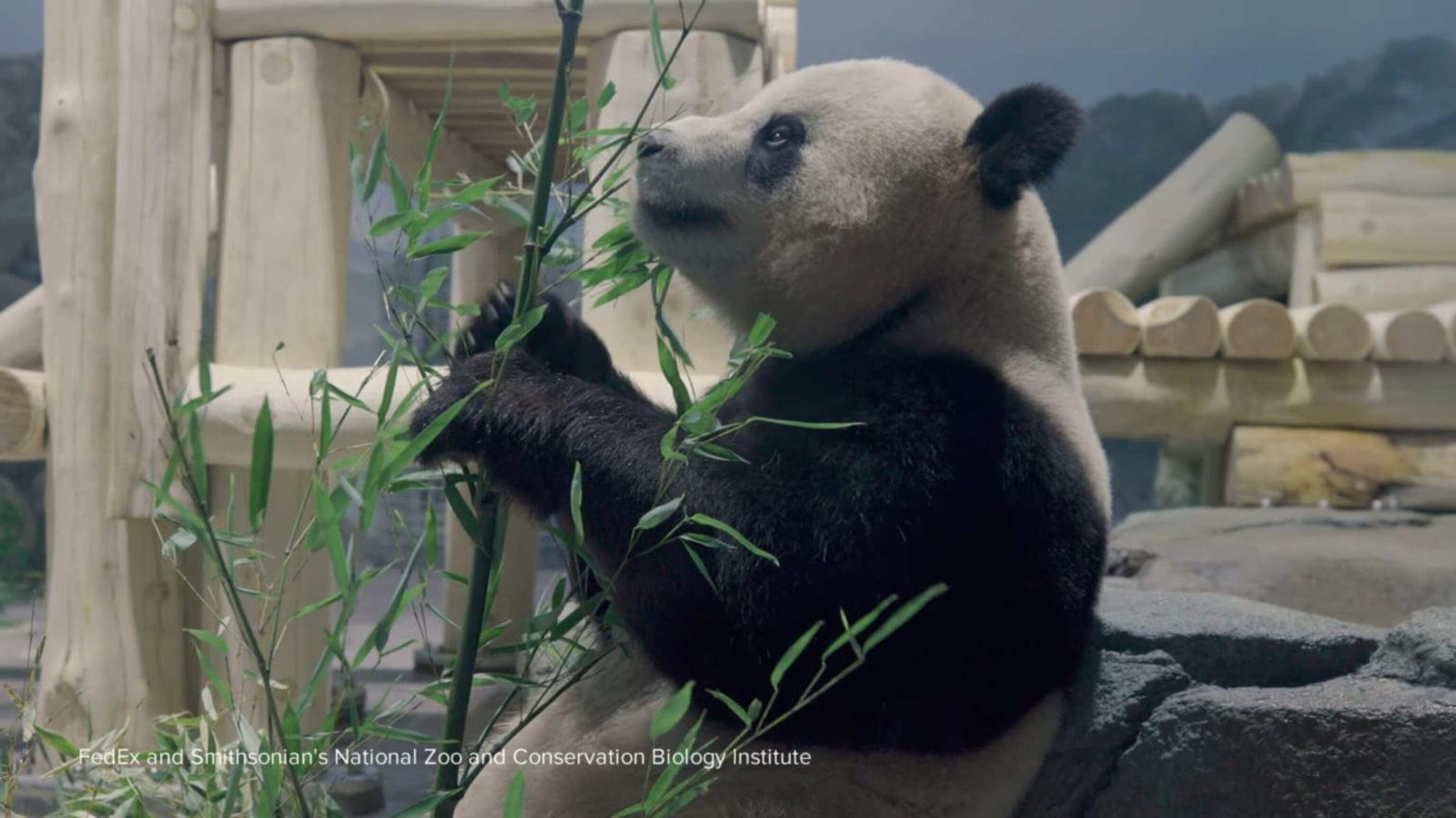 241015_wn_ender_hpMain_16x9.