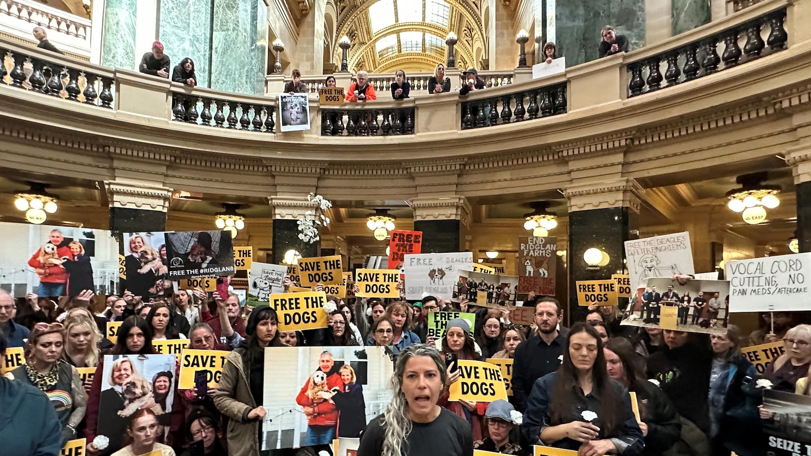 Animal rescue group says it bought 1,500 beagles from Wisconsin facility targeted by protesters