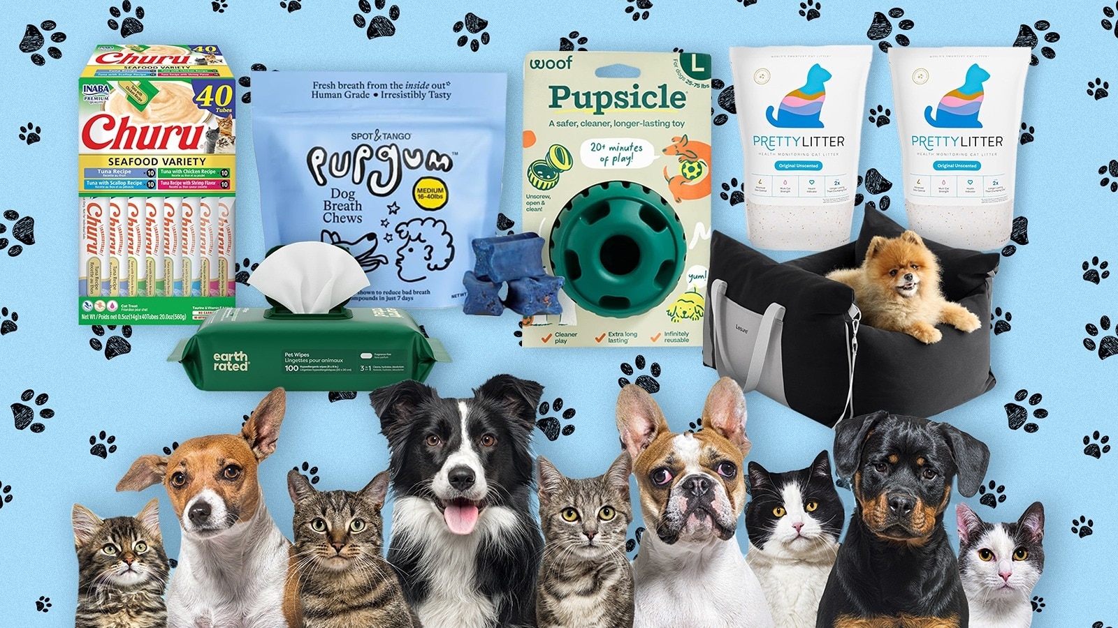 Shop essentials for dogs, cats and beyond