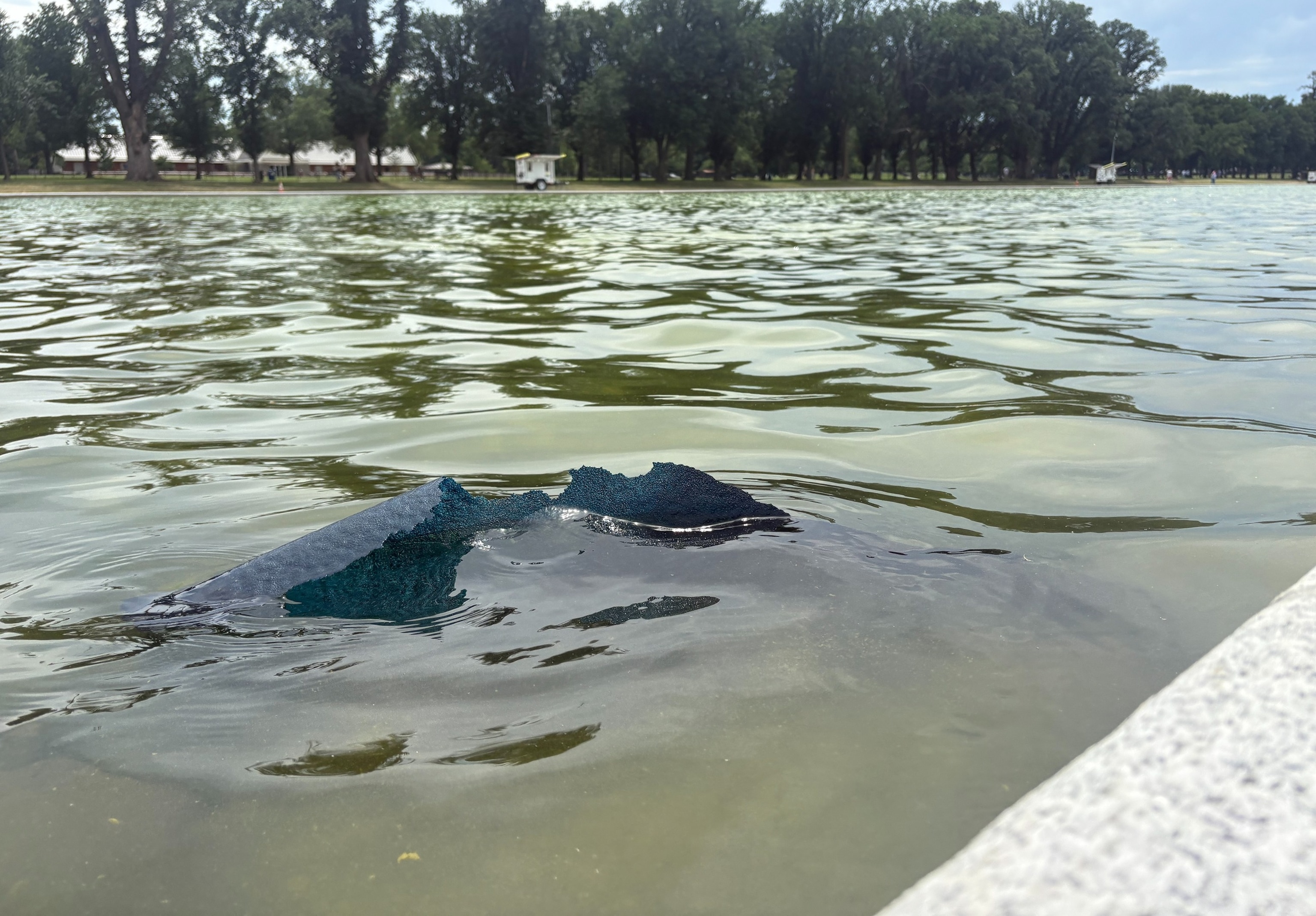  Some of the Lincoln Memorial Reflecting Pool liner appears to be falling apart