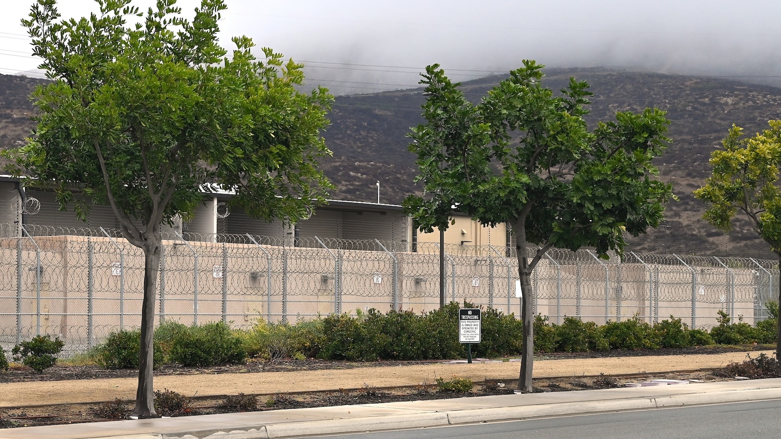 Independent agency overseeing immigration detention facilities misconduct shut down