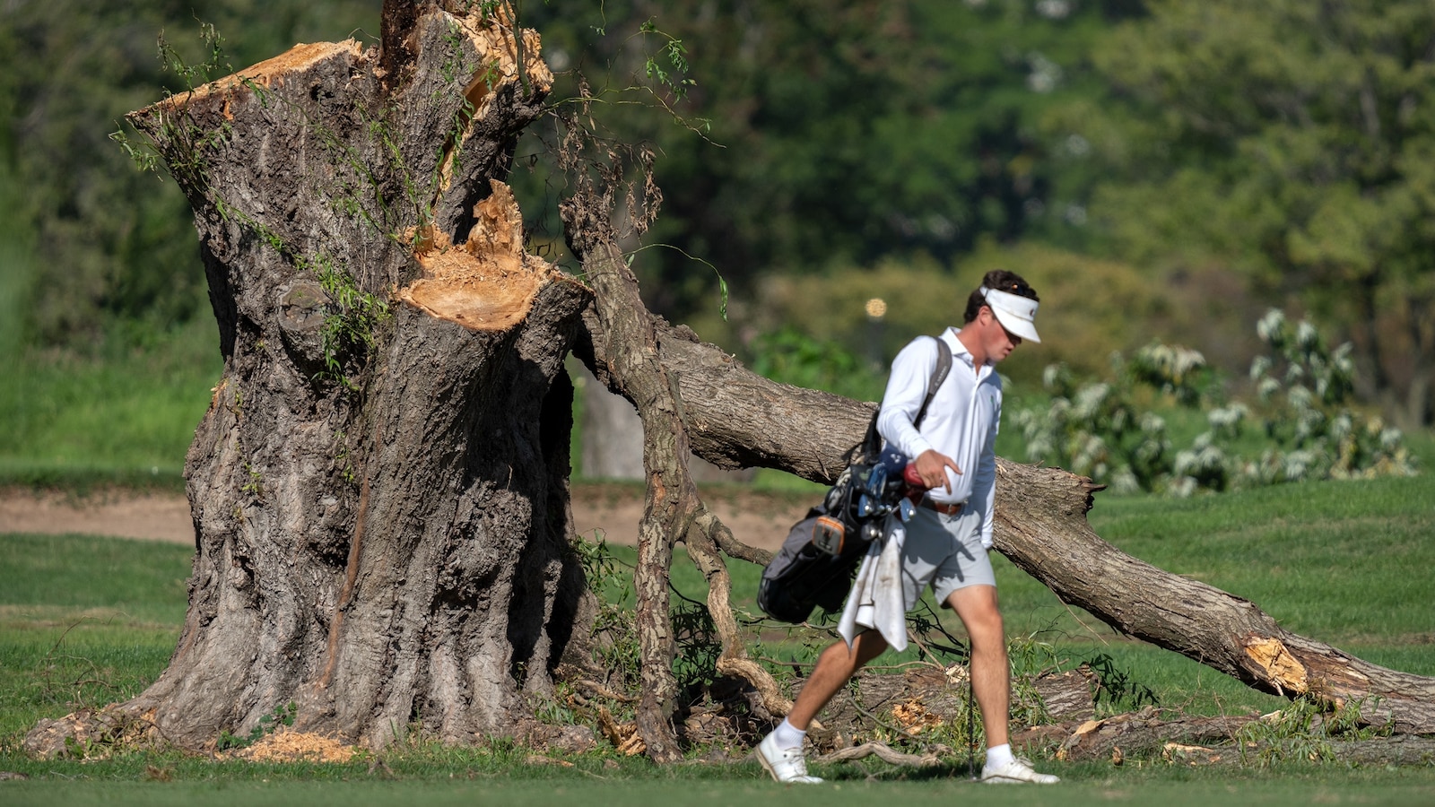 Judge explodes at Trump admin lawyers after trees felled at DC golf course