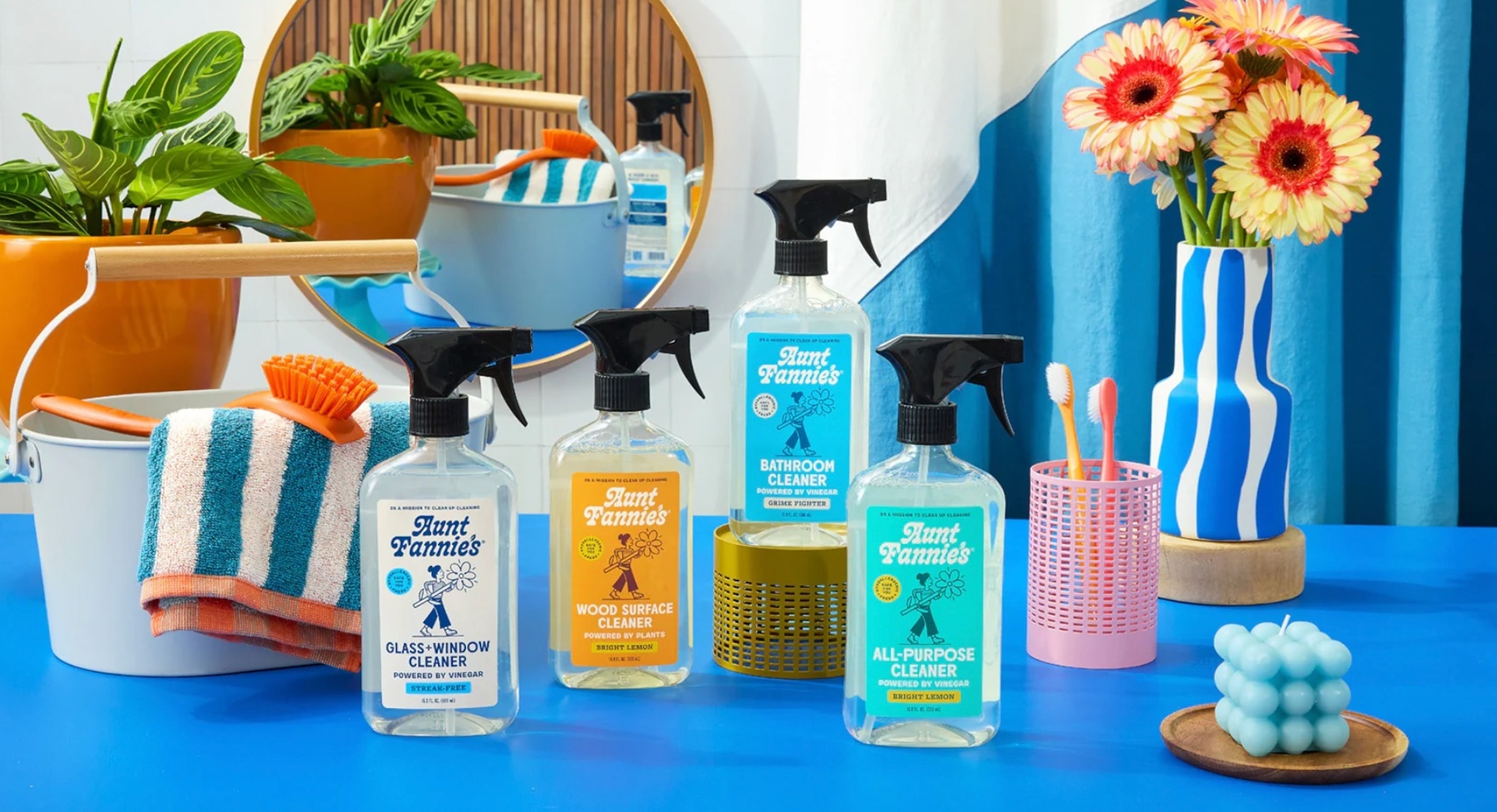 Aunt Fannie's: Cleaners