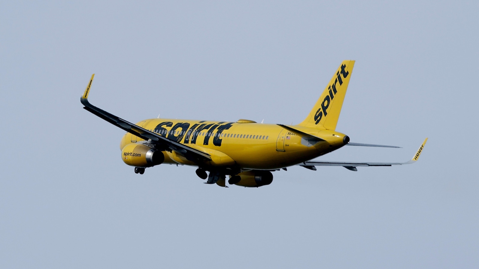 Potential Spirit Airlines liquidation would be a 'gut punch' experts say