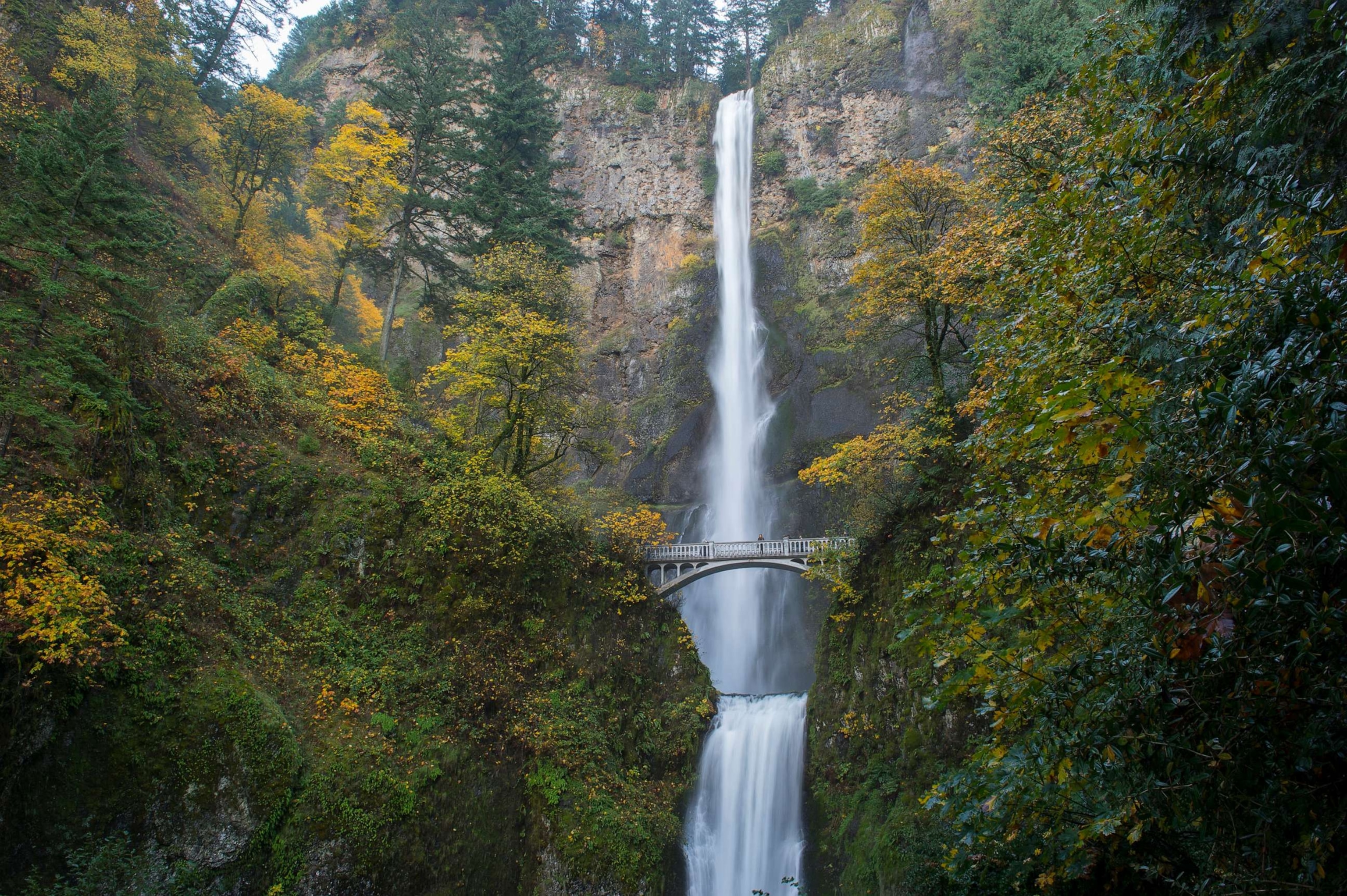 PHOTO: A foot bridge offers hikers a view of Multnomah Falls, a waterfall near Portland along the Columbia River Gorge in Oregon, Nov. 7, 2014.