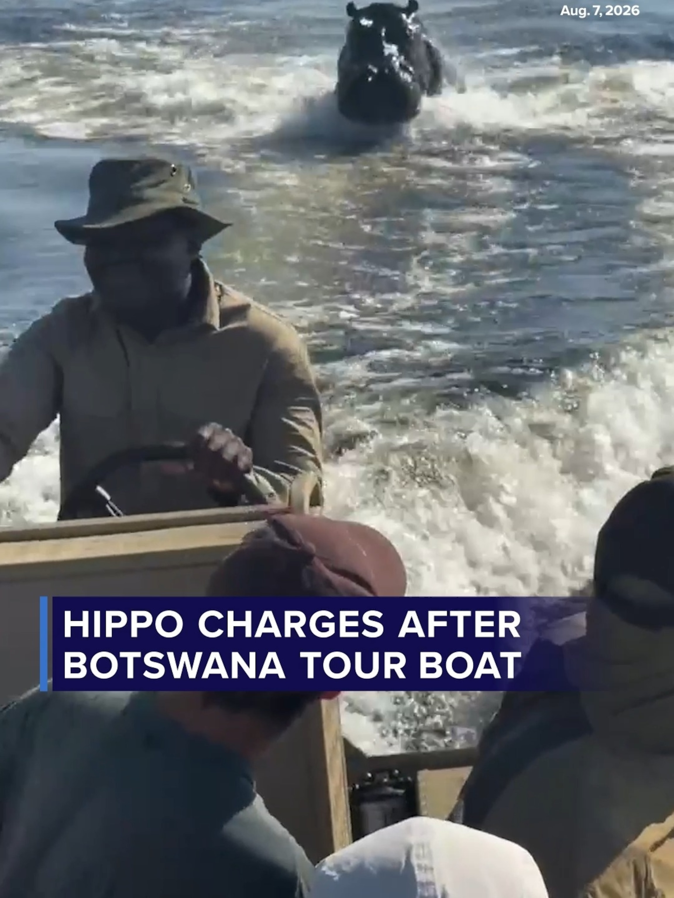 Charging hippo chases tour boat in Botswana - ABC News