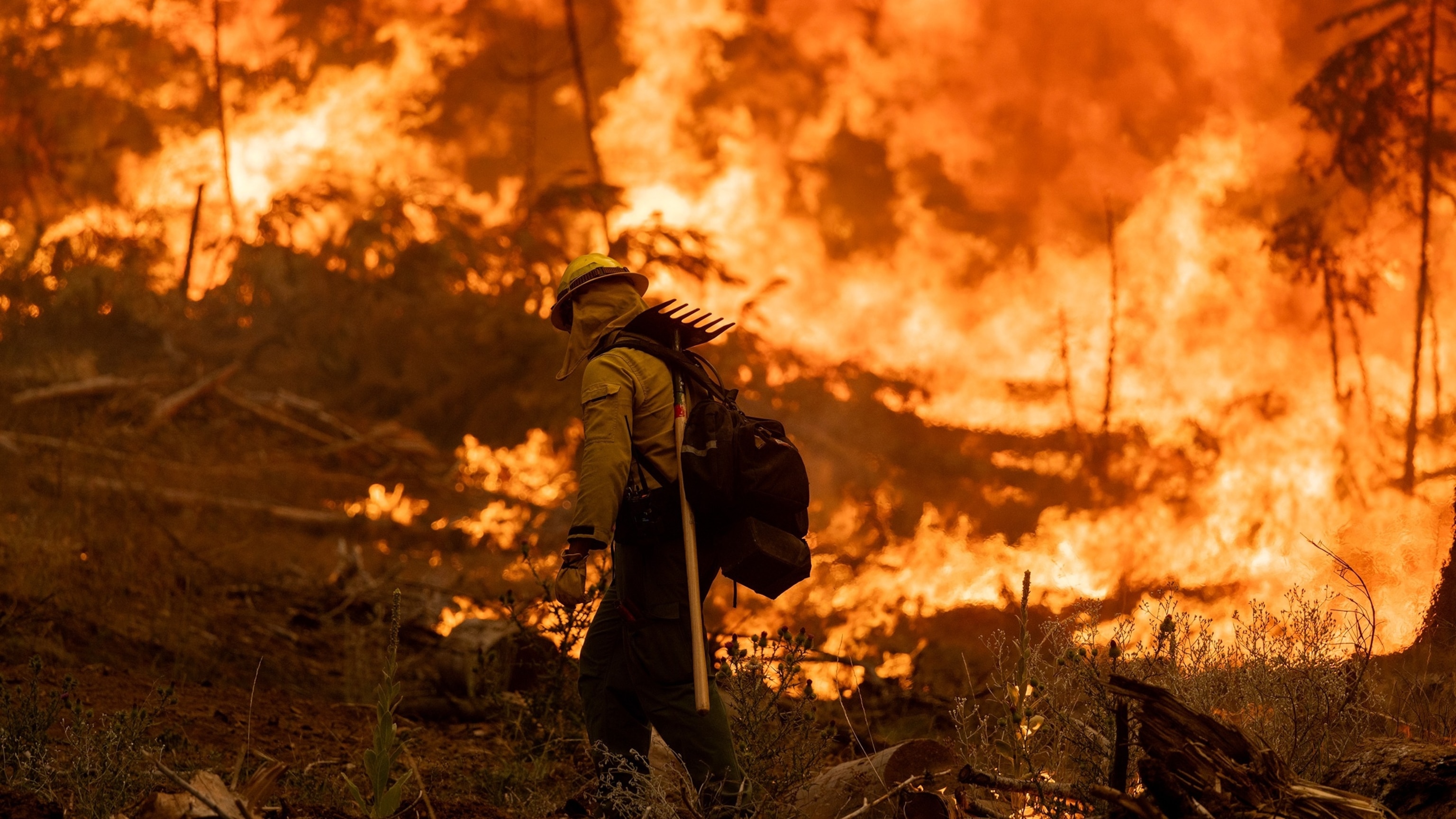Tracking Western wildfires Latest - Park Fire 01 Gty Jef 240729 1722258707910 HpMain 16x9