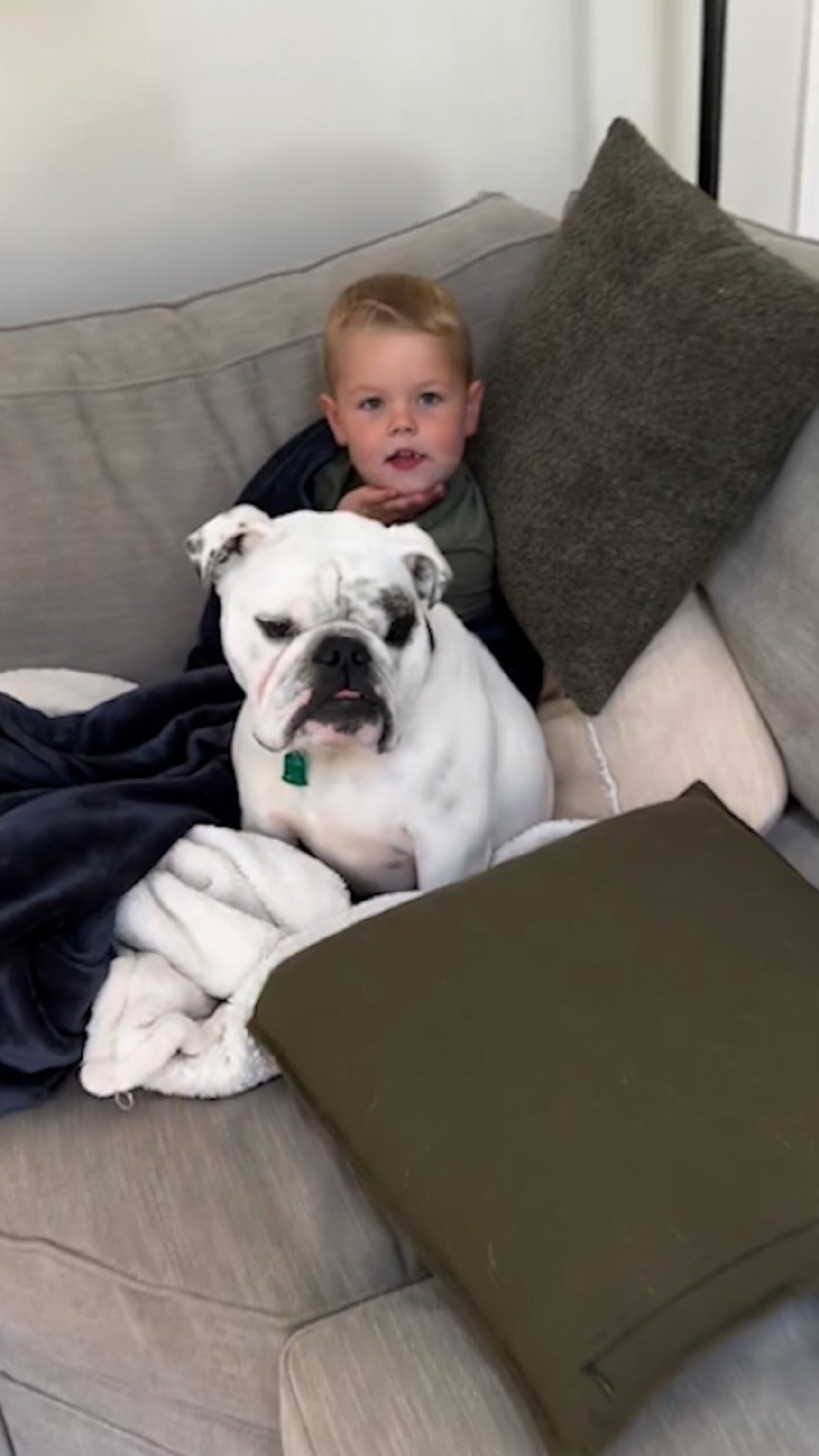 Video Little boy and English bulldog have the cutest friendship