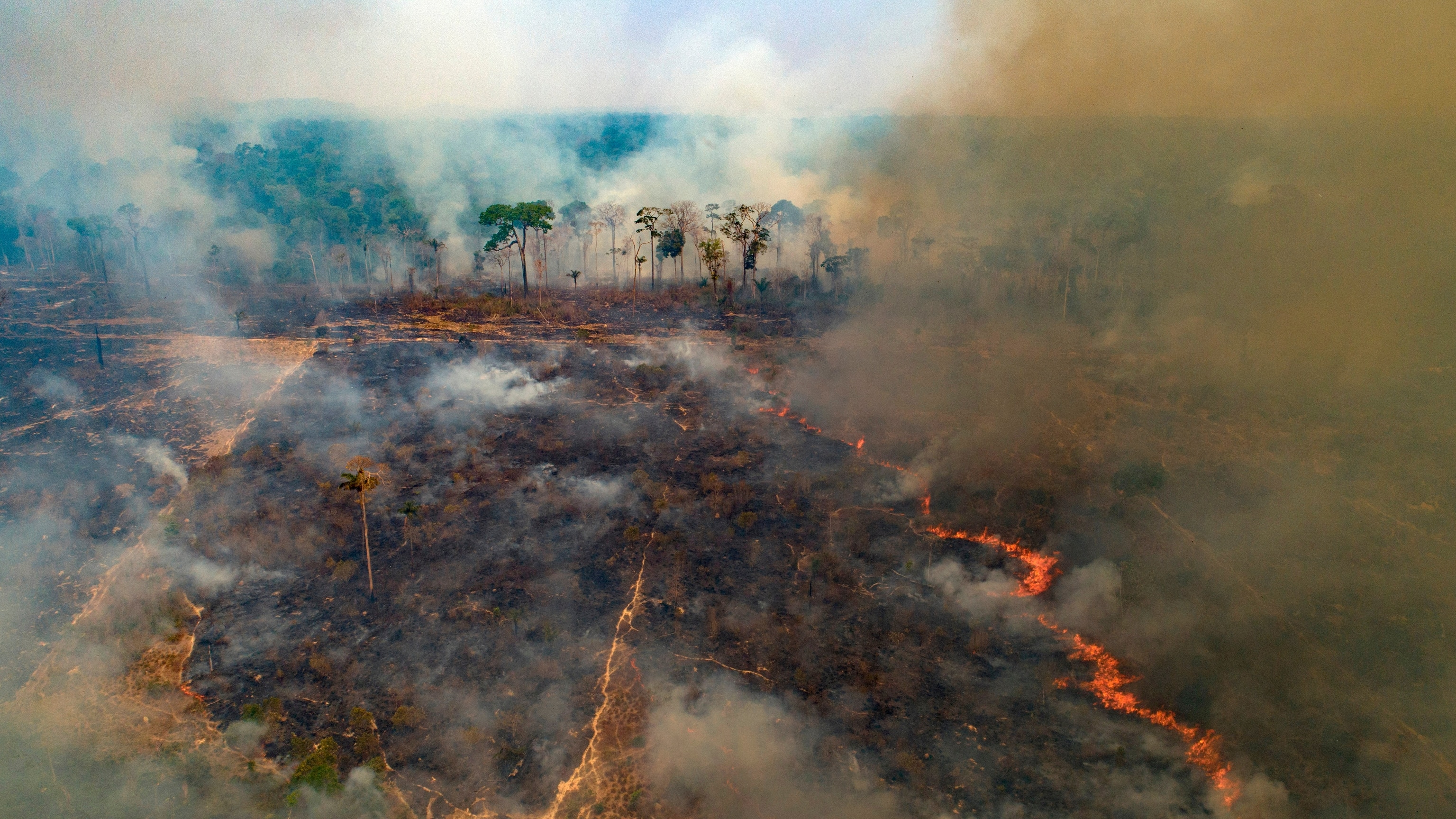 New firefighting fund launches but funding gap remains as wildfires worsen worldwide