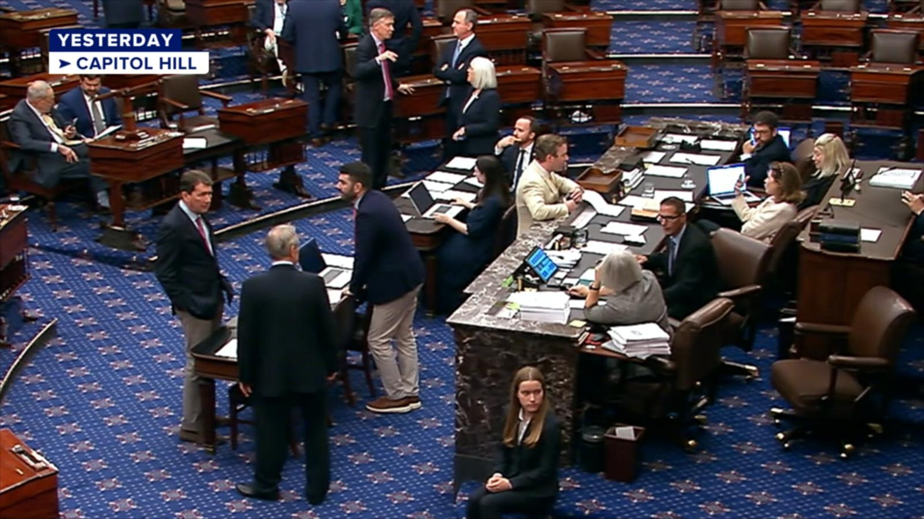 Senate begins debate on Trump's 'big, beautiful bill' - ABC News