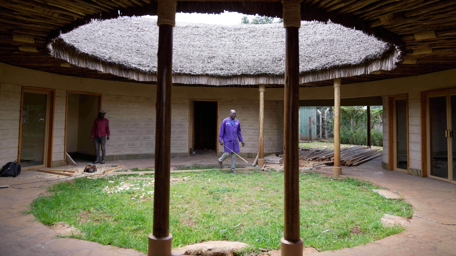 A mushroom farm in Kenya and fungi-based panels give hope for sustainable building