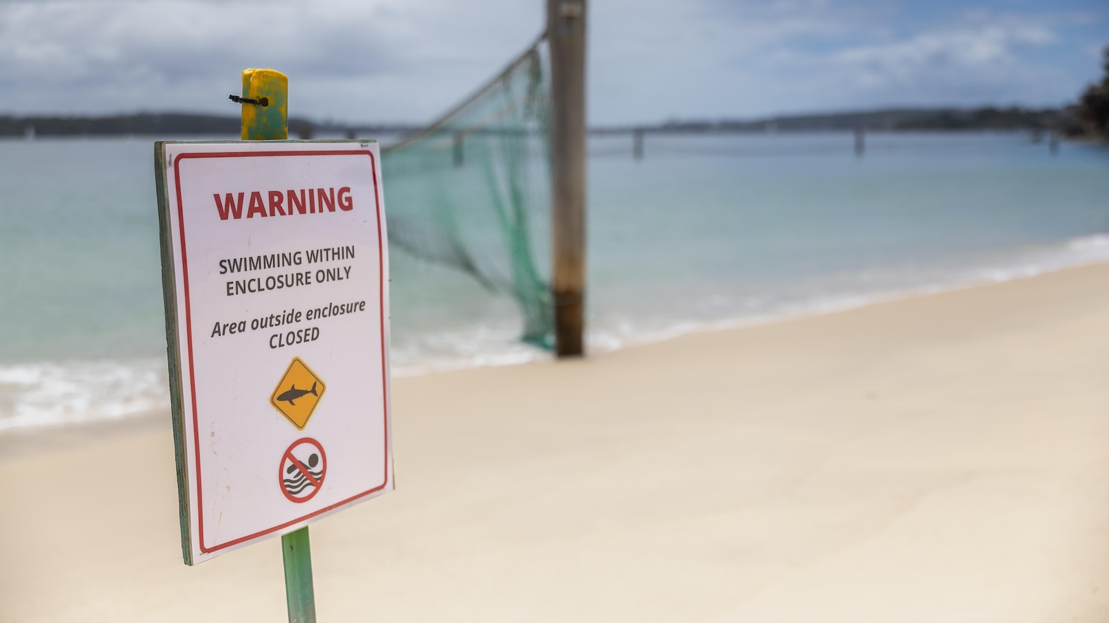 Три отделни атаки на акули в Сидни за малко повече